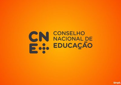 CNE – Dimensões estruturantes da profissão docente